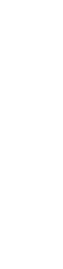 a_feuerwerk_bunt06